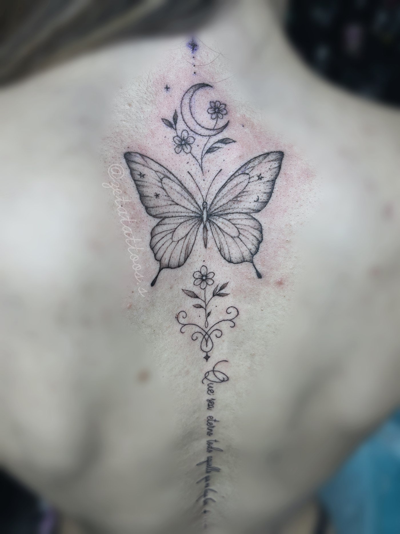 Mariposa con luna y flores