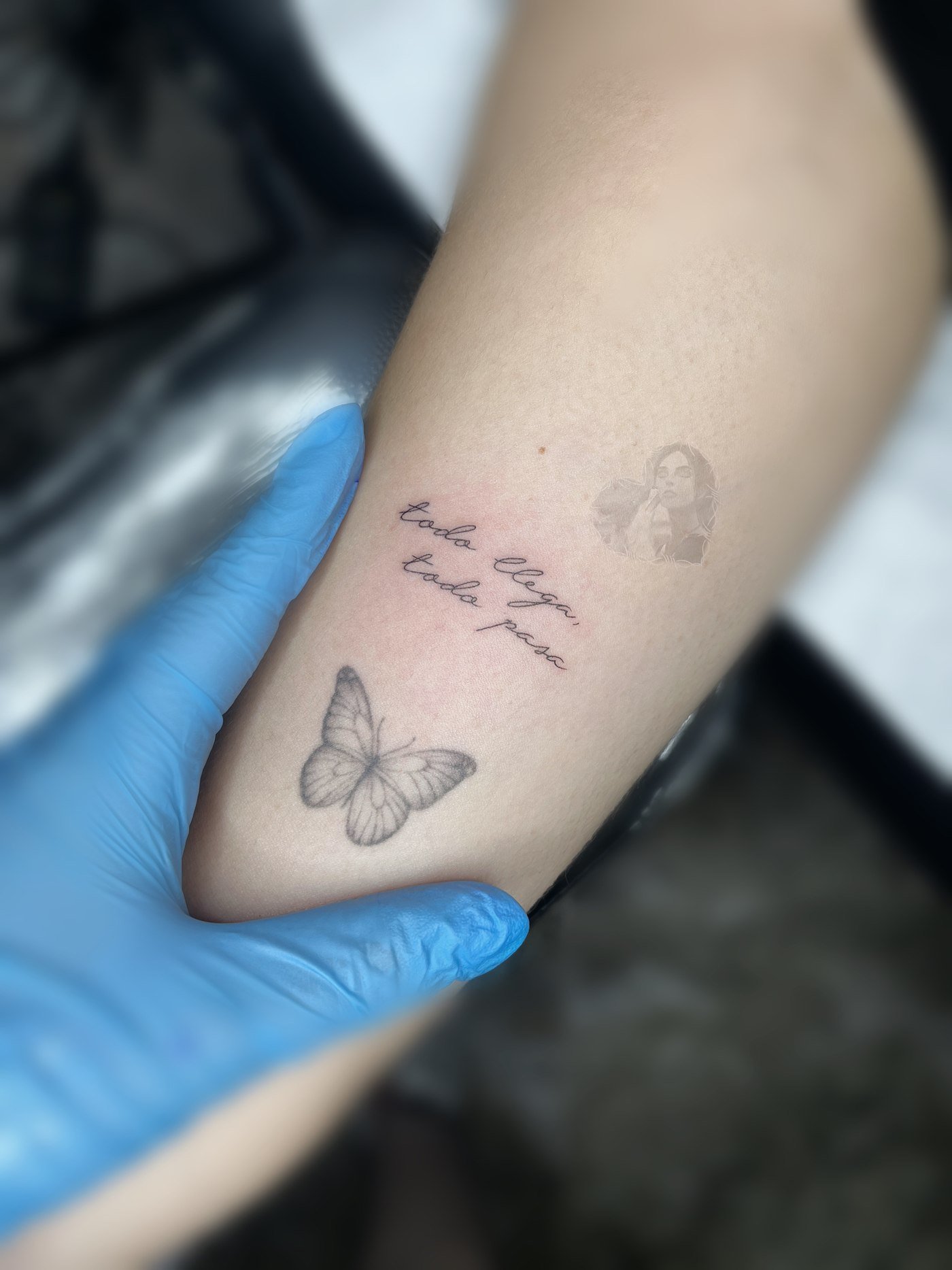 Mariposa y frase todo llega, todo pasa