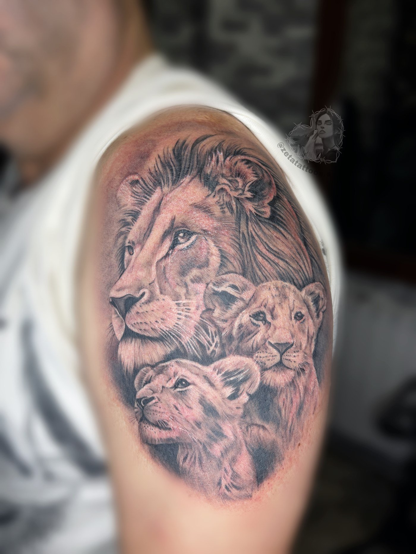 Familia de leones
