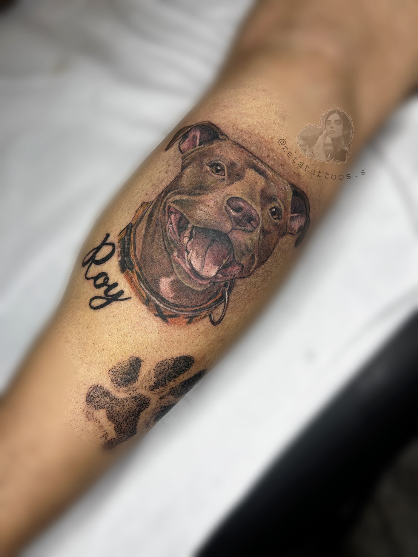 Roy, retrato de perro