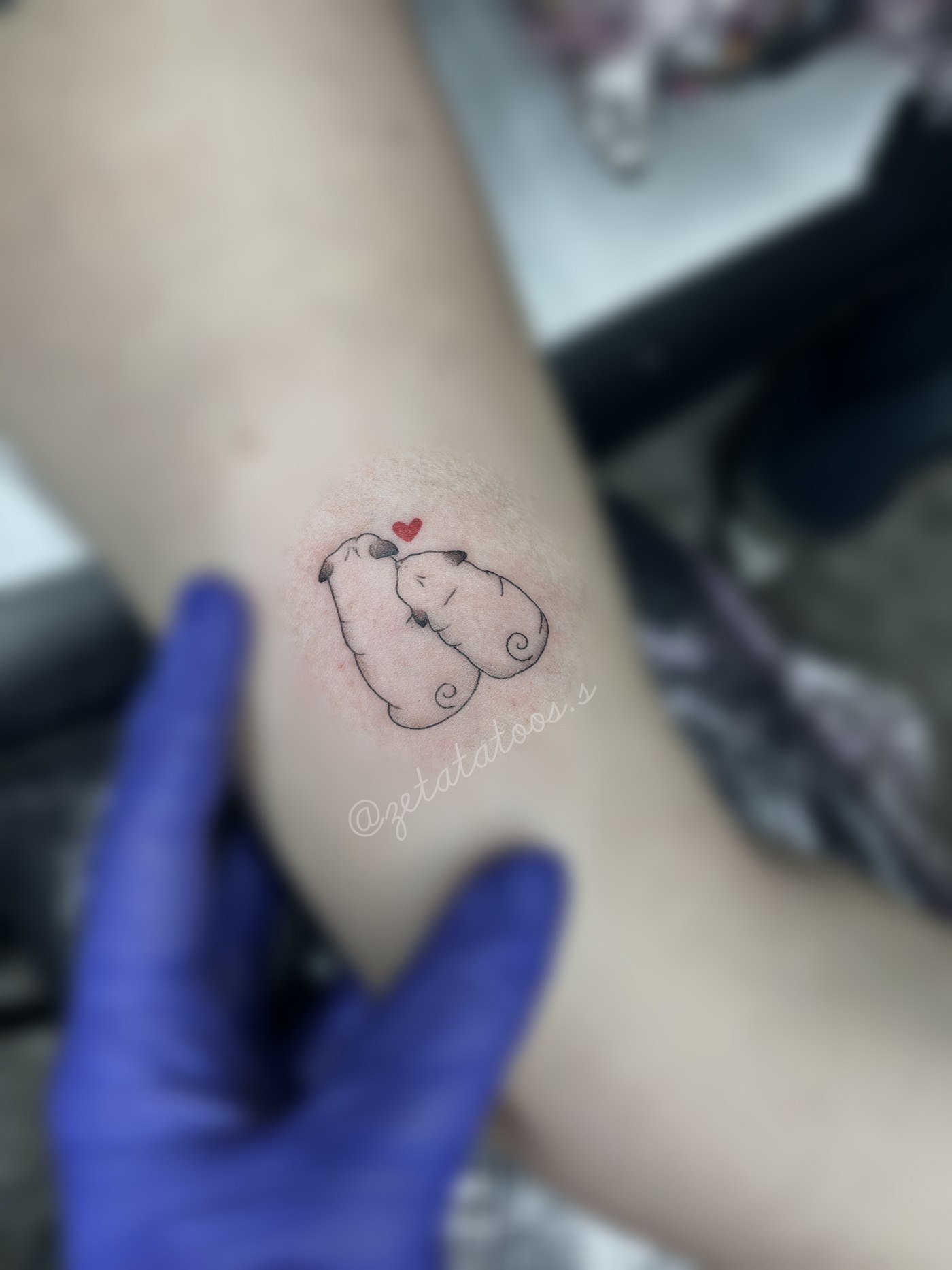 Cachorros con corazón