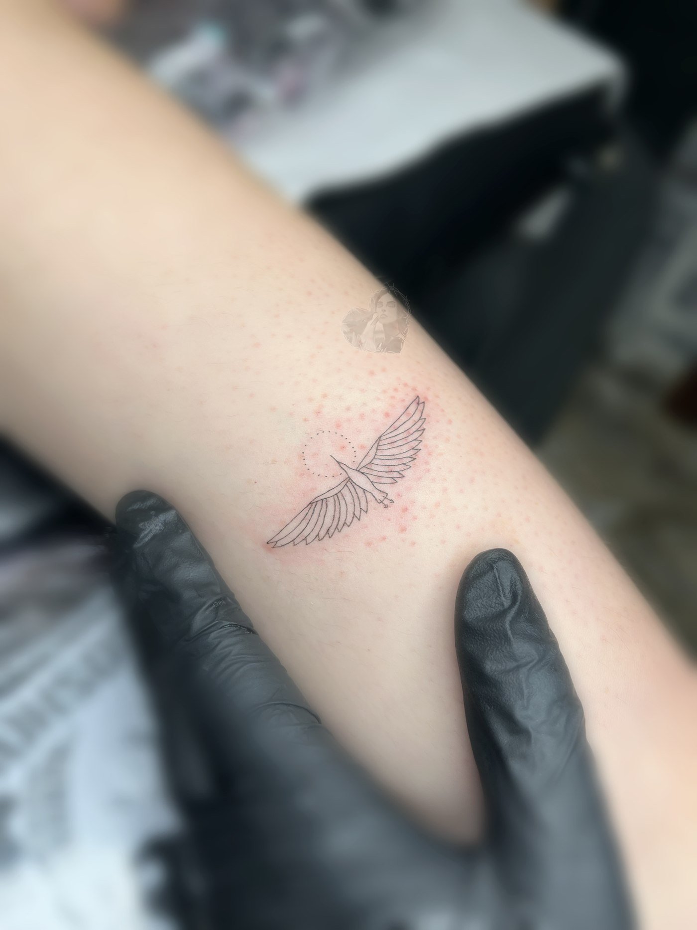 Ala