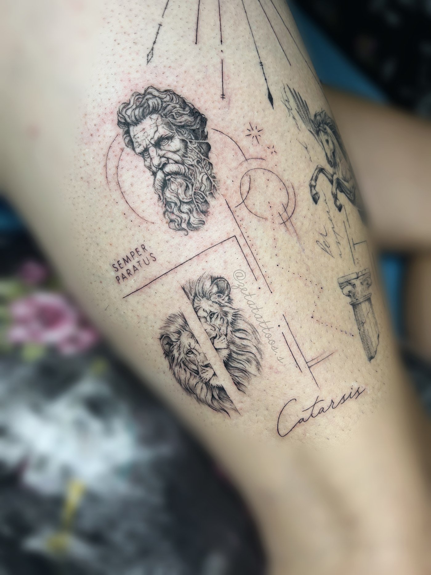Zeus y leones: Catarsis