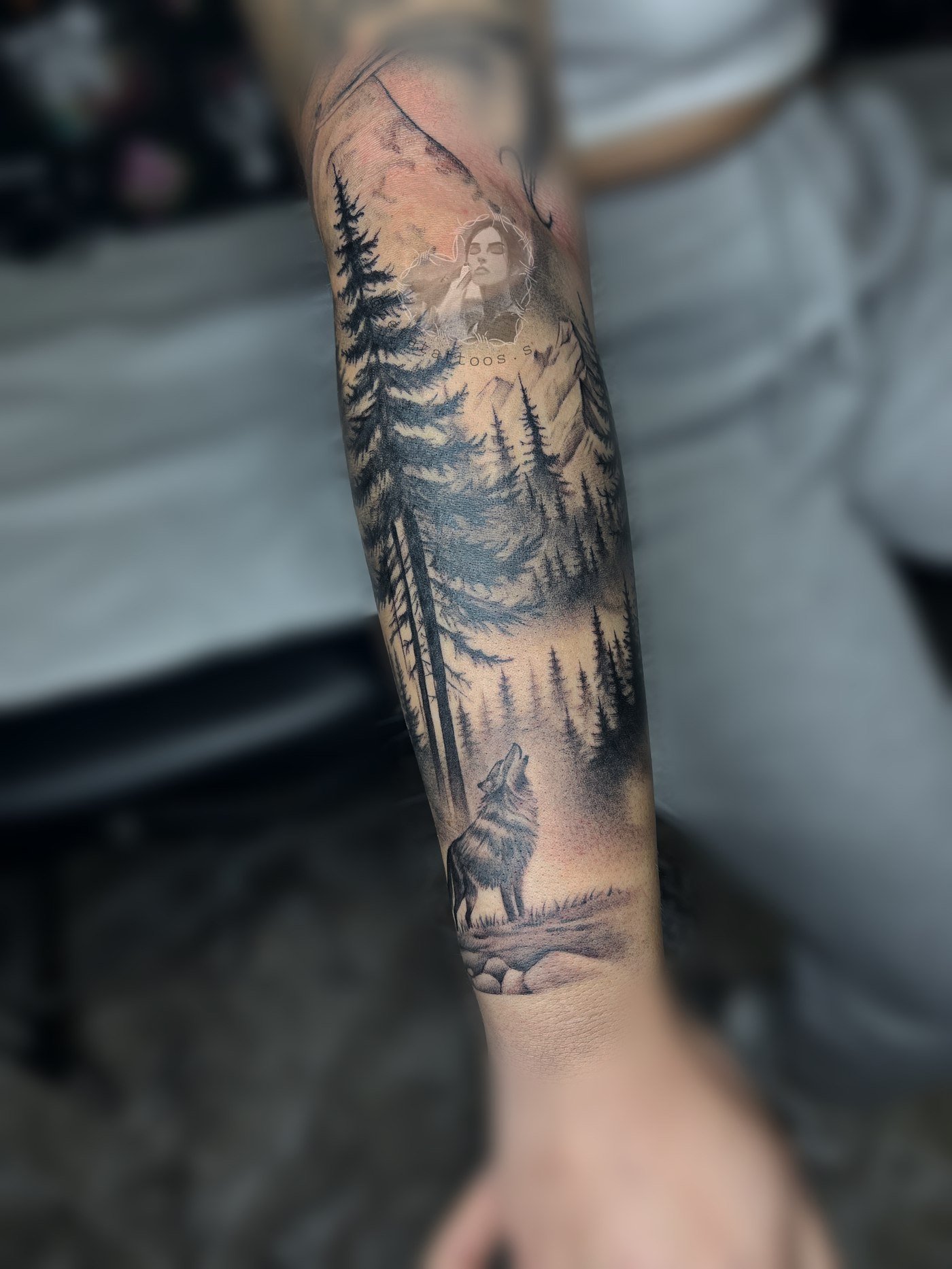 Bosque y montaña con lobo